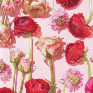 Meet your Posher, Nelly